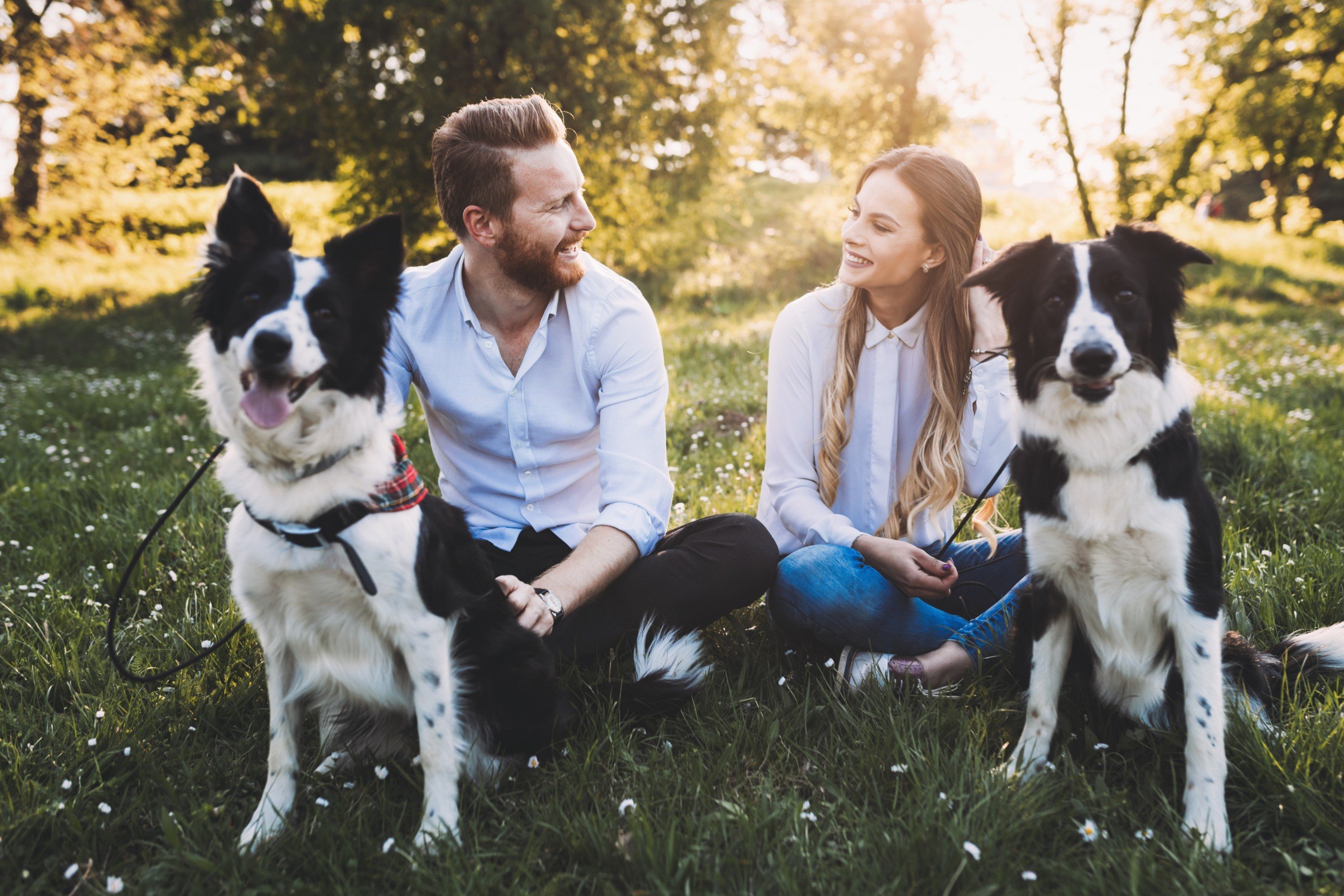 Foto Bei allen Fragen rund um Immobilien helfen wir Ihnen stets kompetent und fair.