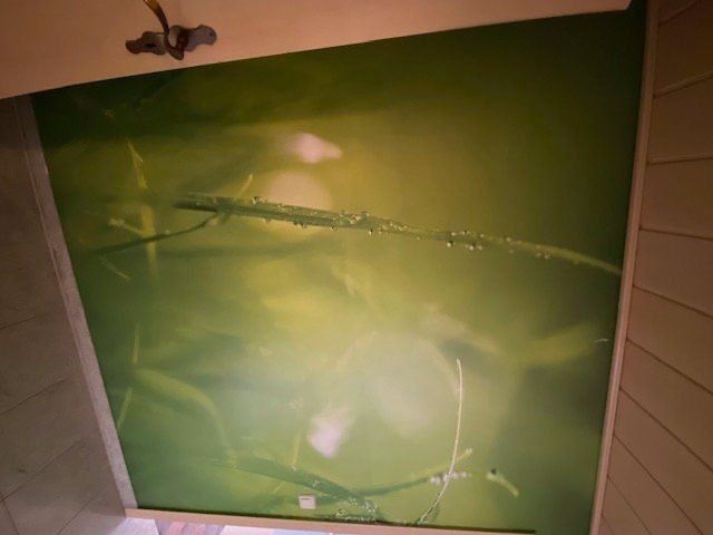 19 Reiterh�fe M�ckm�hl